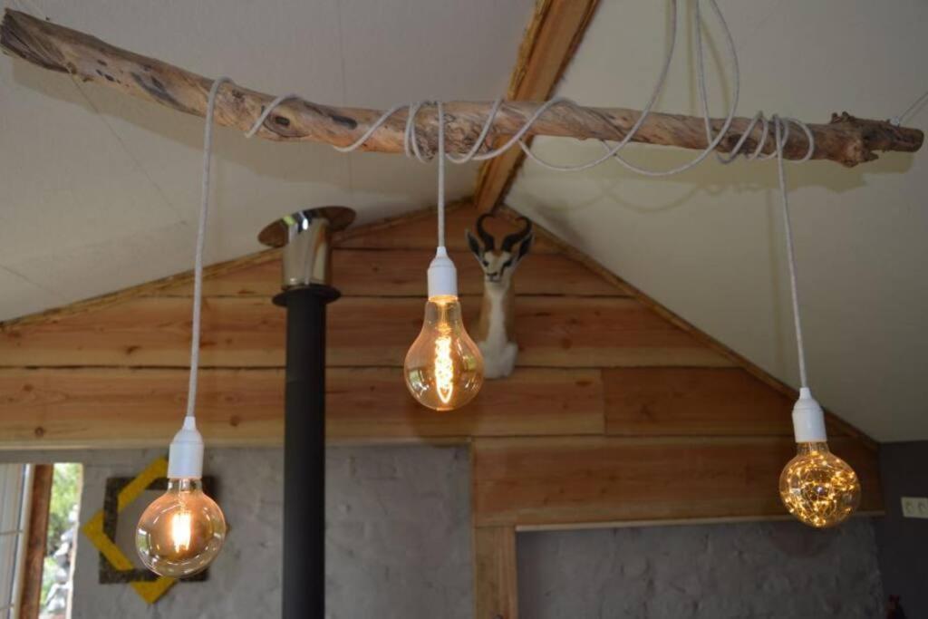 Korentil . Cosy House With Private Garden De Haan Exterior foto