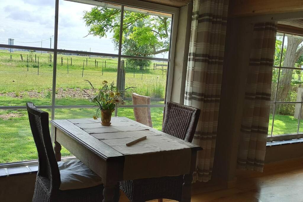 Korentil . Cosy House With Private Garden De Haan Exterior foto